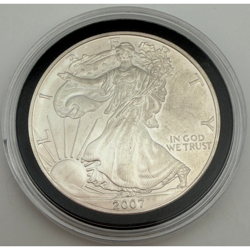 2007 American Silver Eagle 1oz Fine Silver One Dollar Walking Liberty Coin